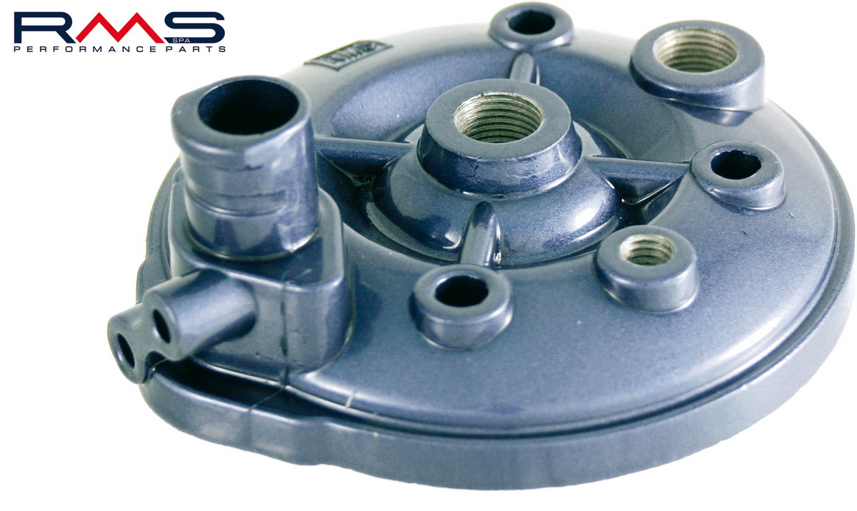 Cylinder head RMS 100070071