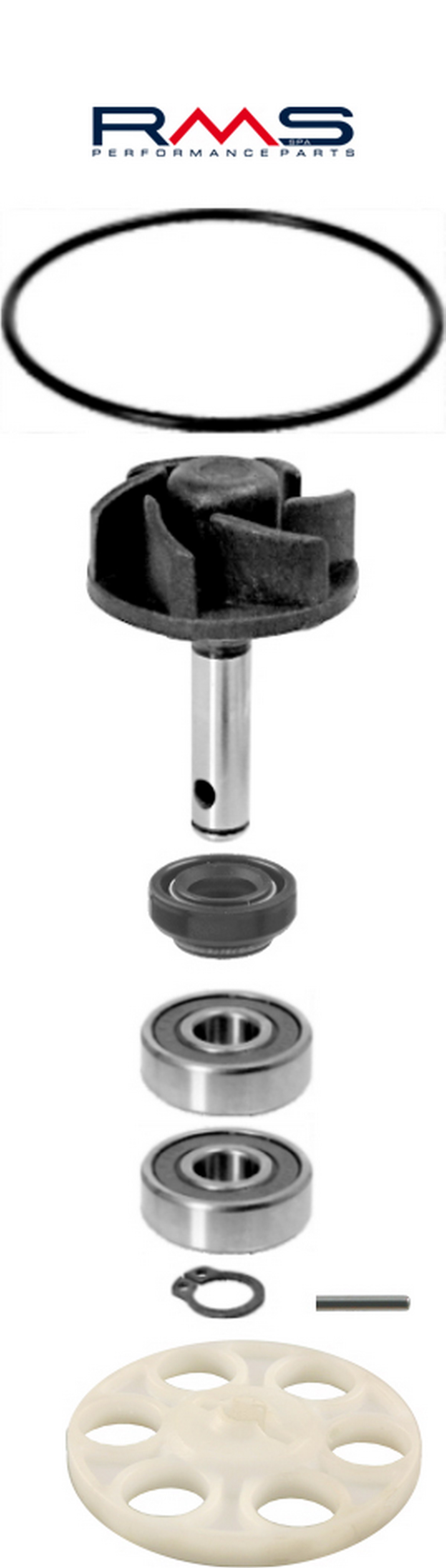 Water pump set RMS 100110200