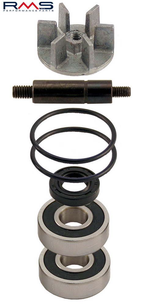 Water pump set RMS 100110240