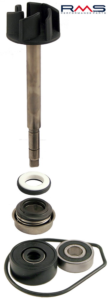 Water pump set RMS 100110280