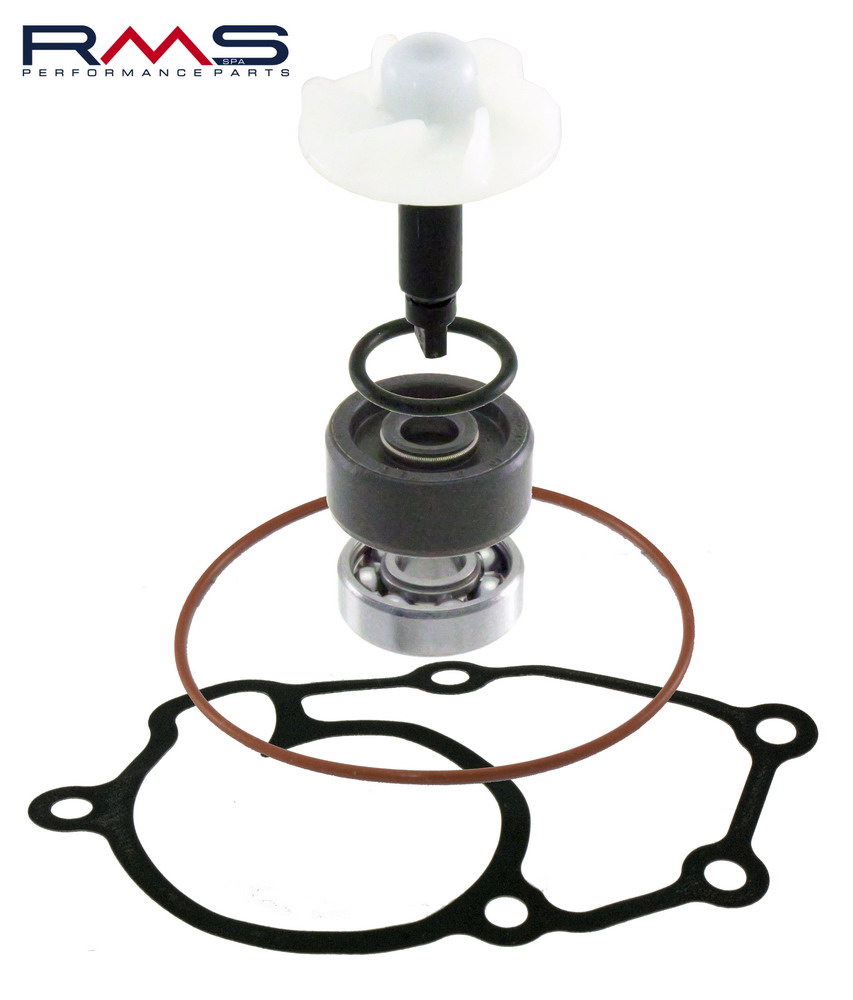 Water pump set RMS 100110350