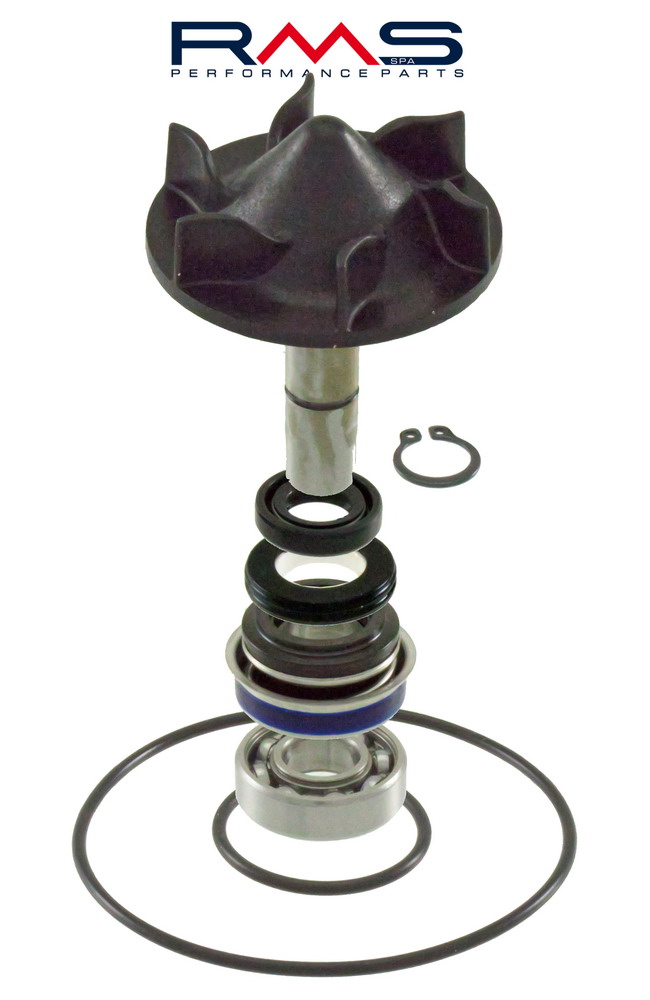 Water pump set RMS 100110420