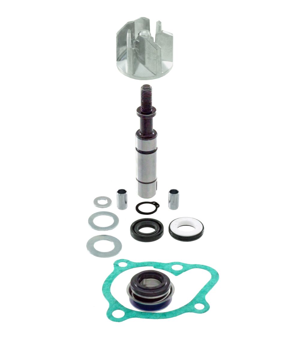 Water pump set RMS 100110490