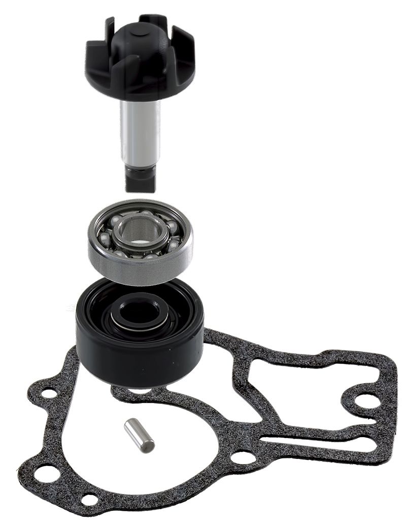 Water pump set RMS 100110560