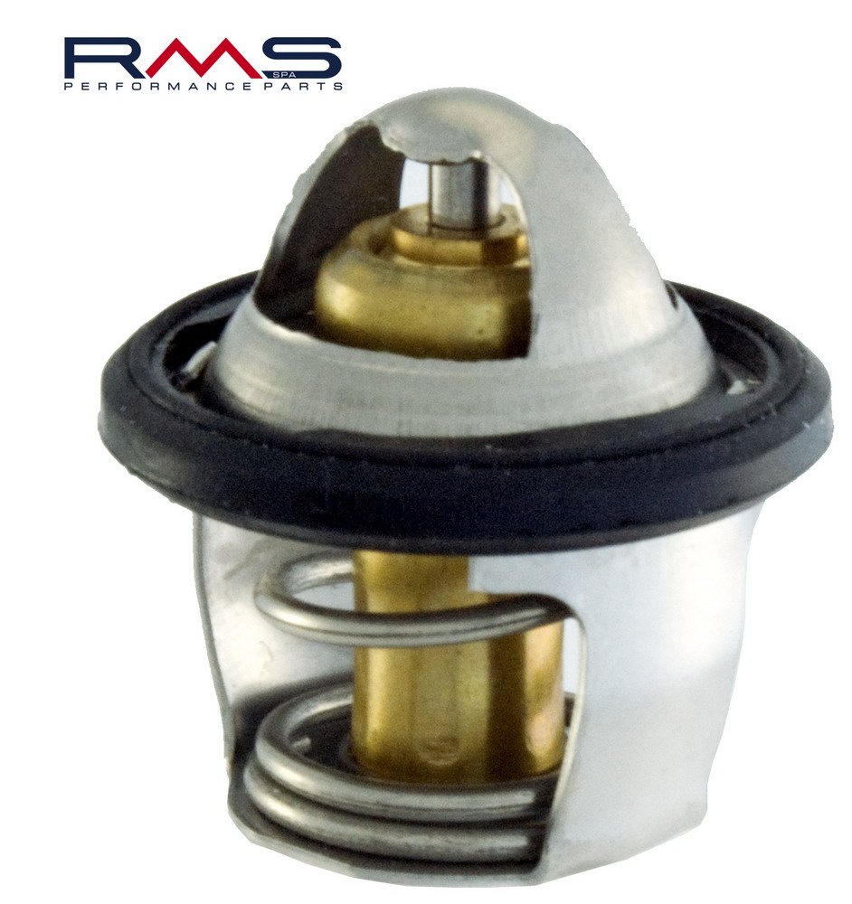 Thermostat RMS 100120040