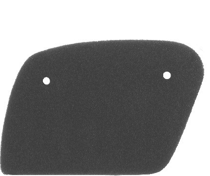 Filter zraka NYPSO 100600041