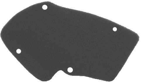 Filter zraka NYPSO 100600121