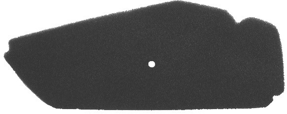 Filter zraka NYPSO 100600411