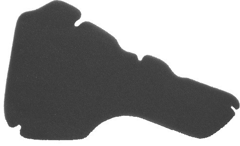 Filter zraka NYPSO 100600421