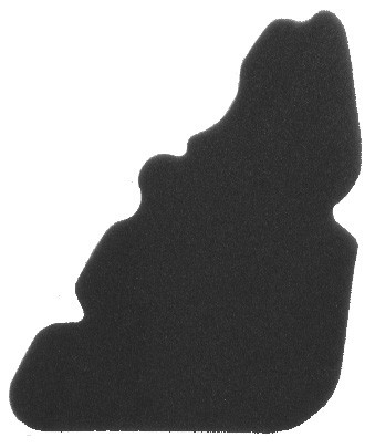 Filter zraka NYPSO 100600911