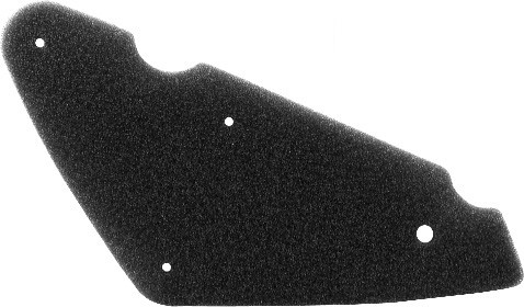 Filter zraka NYPSO 100600971