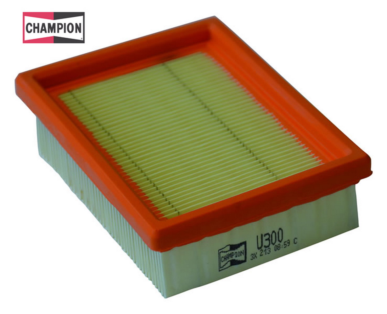 Filter zraka CHAMPION 100602275
