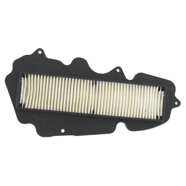 Filter zraka NYPSO 100602821