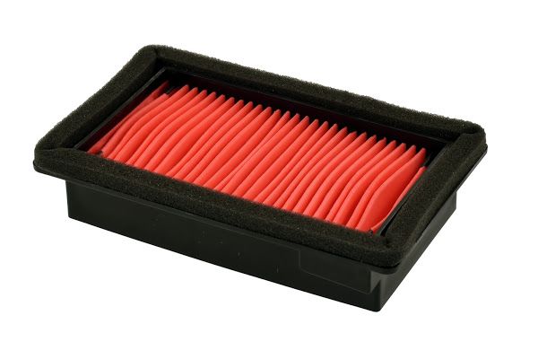 Filter zraka CHAMPION CAF3613 100605175