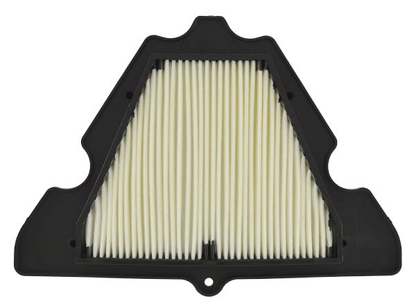 Filter zraka CHAMPION CAF1920 100605225