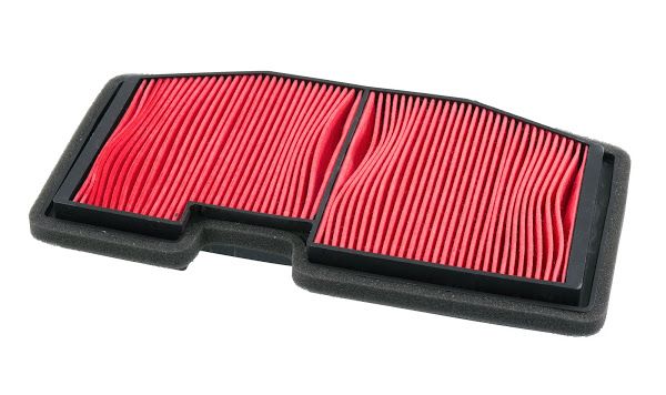 Filter zraka CHAMPION CAF5502 100605315