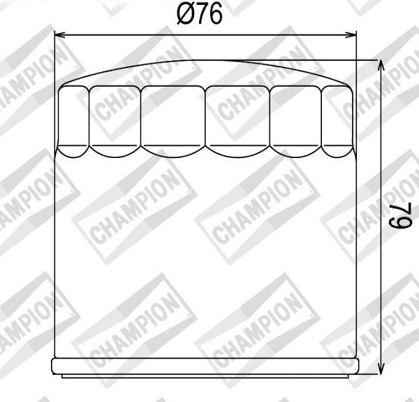 Filter ulja CHAMPION COF063 100609135