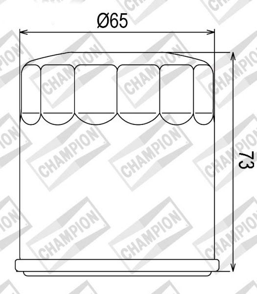 Filter ulja CHAMPION COF077 100609745