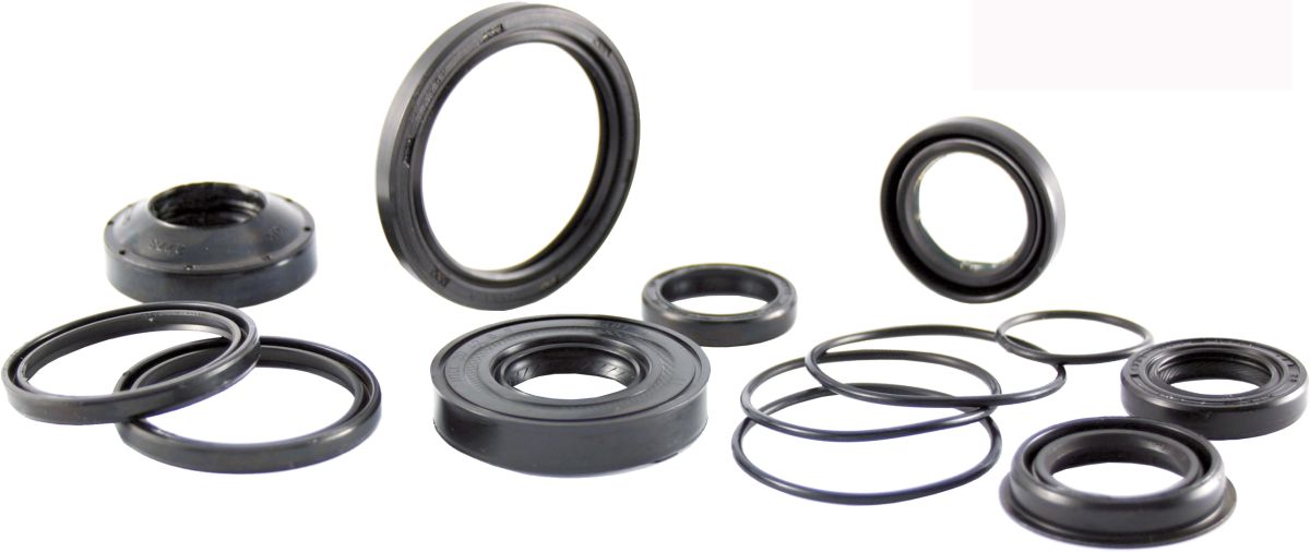 Oil seal RMS 100669280 valve stem