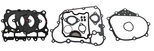 Engine gasket set RMS 100684290