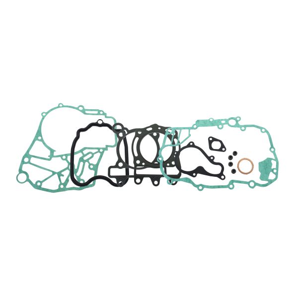 Engine gasket set RMS 100689931