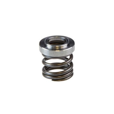 FF Top out spring KYB 110480004001