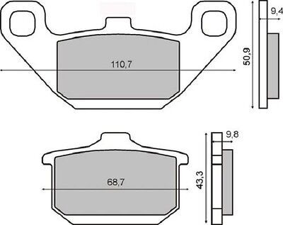 KOCIONE PLOCICE-225101490---RMS