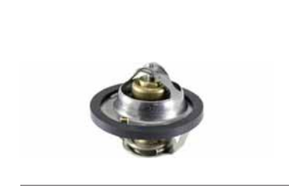 TERMOSTAT-100120320---RMS