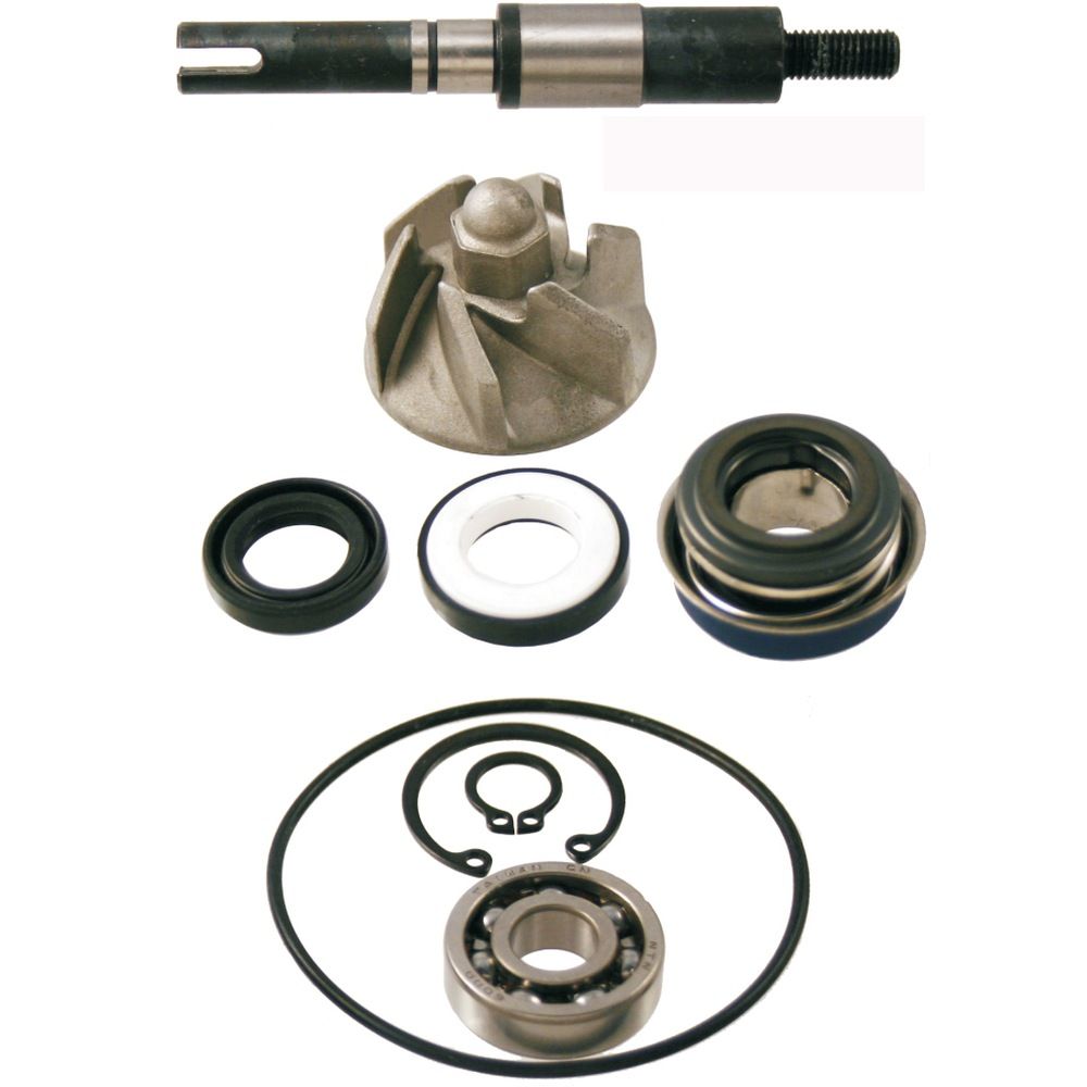 SET ZA REPARACIJU PUMPE VODE-100110190---RMS