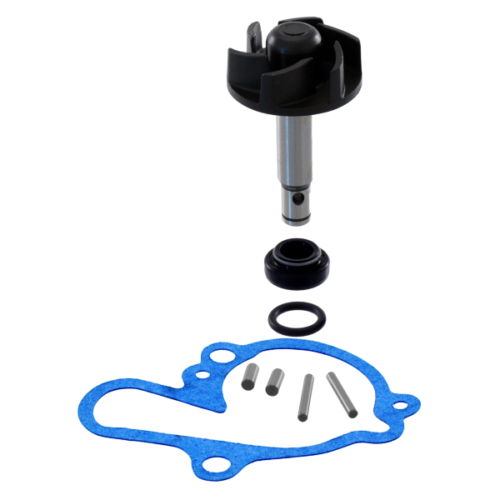 SET ZA REPARACIJU PUMPE VODE-100110080---RMS