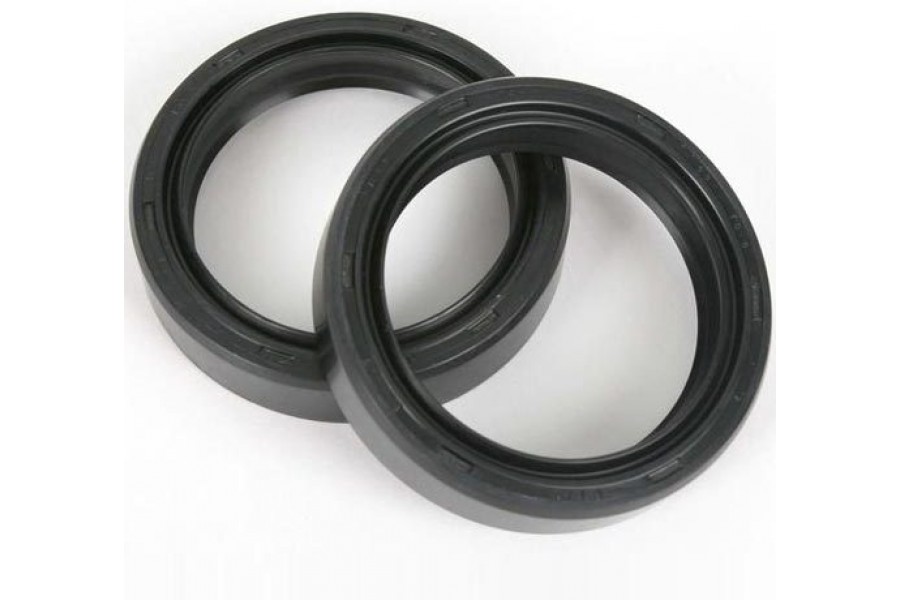 SEMERING-P40FORK455054 / 41x54x11---ATHENA