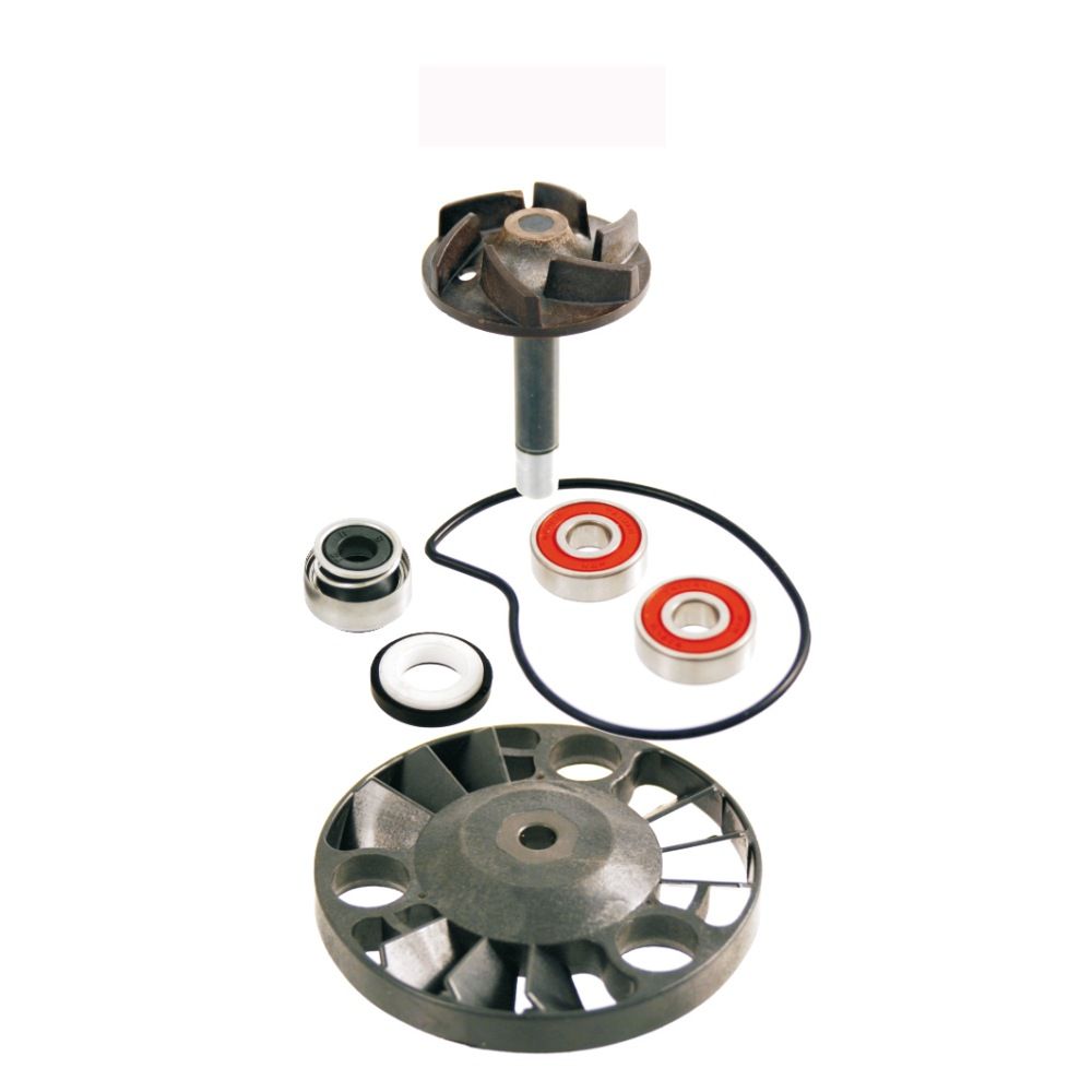 SET ZA REPARACIJU PUMPE VODE-100110070---RMS