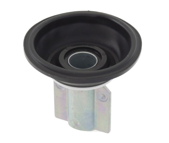 MEMBRANA-121661220---RMS