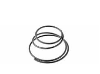 Spring for gear RMS 121930070
