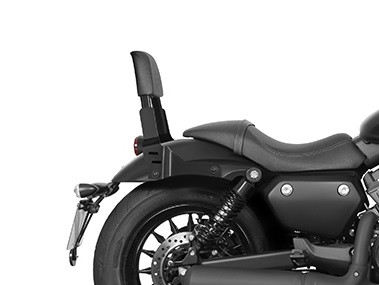 Backrest SHAD B0VC32SN Sissy Bar