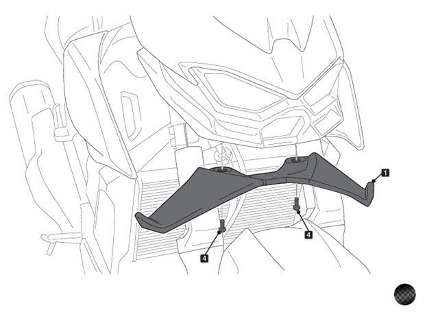 Frontal spoilers PUIG NAKED 22190C carbon look