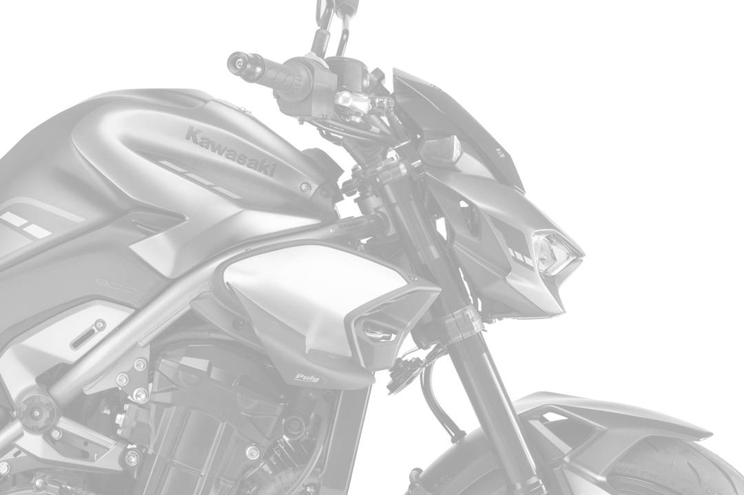 Spoilers PUIG D12 22445C carbon look