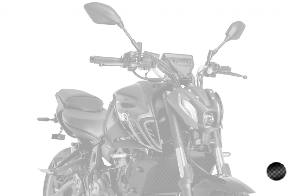 Spoilers PUIG D12 22459C carbon look