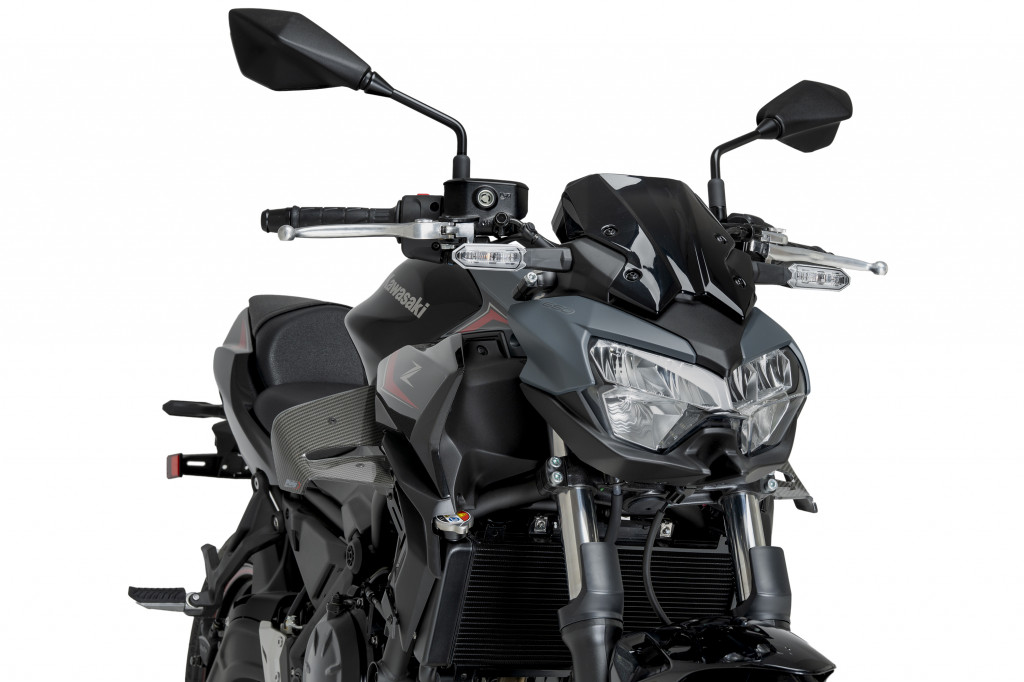 Spoilers PUIG D12 22472C carbon look