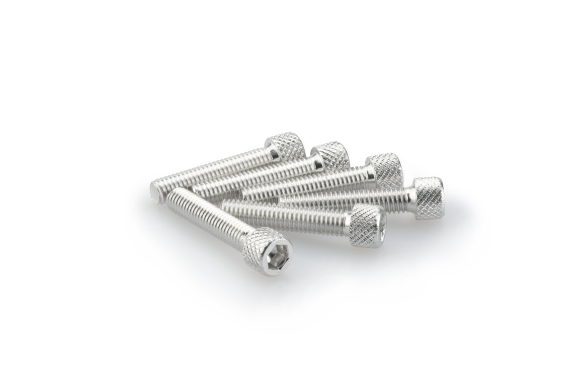 Screws PUIG ANODIZED 0258P silver M6 x 30mm (6pcs)