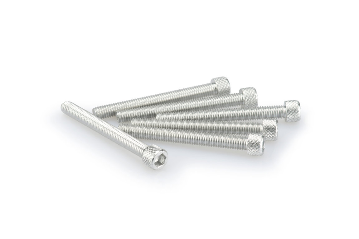 Screws PUIG ANODIZED 0446P silver M6 x 55mm (6pcs)
