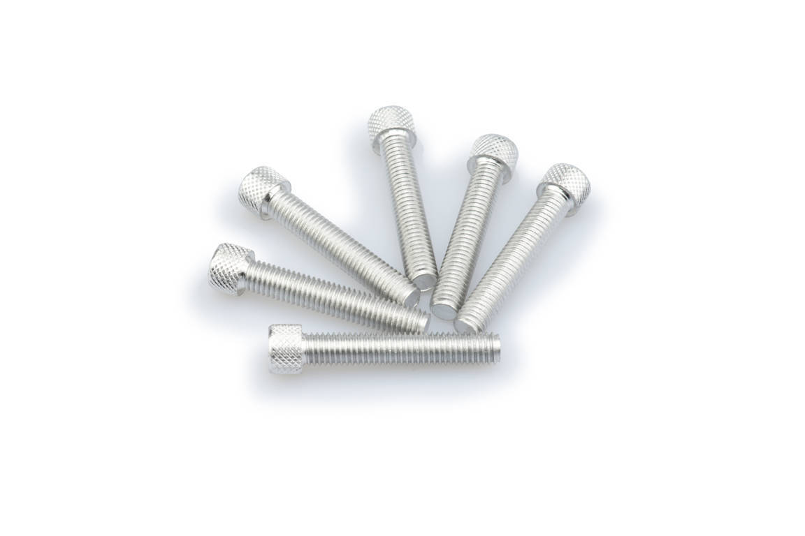Screws PUIG ANODIZED 0516P silver M8 x 45mm (6pcs)