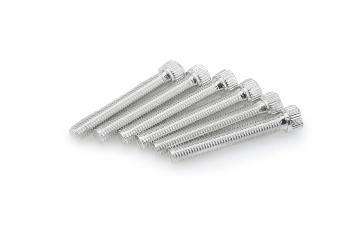 Screws PUIG ANODIZED 0540P silver M8 x 55mm (6pcs)