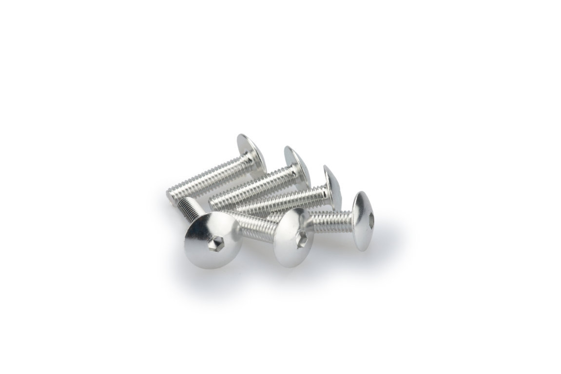 Screws PUIG ANODIZED 0689P silver M6 x 25mm (6pcs)