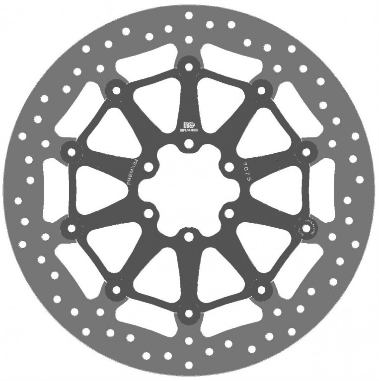 Premium brake disc NG 1597GP