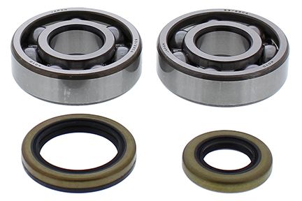 Crankshaft bearing and seal kit All Balls Racing CB24-1119