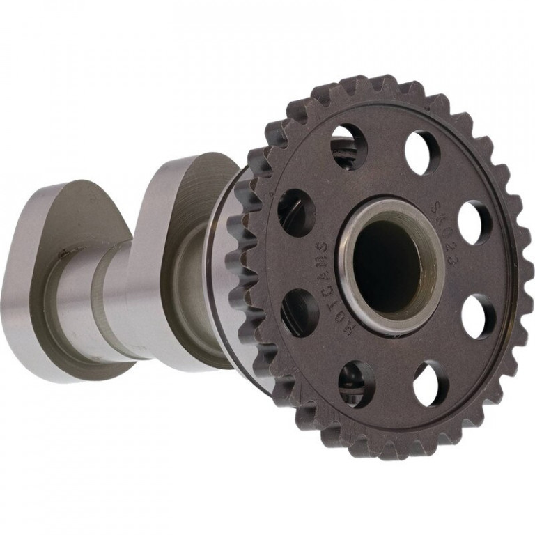 Camshaft intake HOT CAMS 4163-1IN