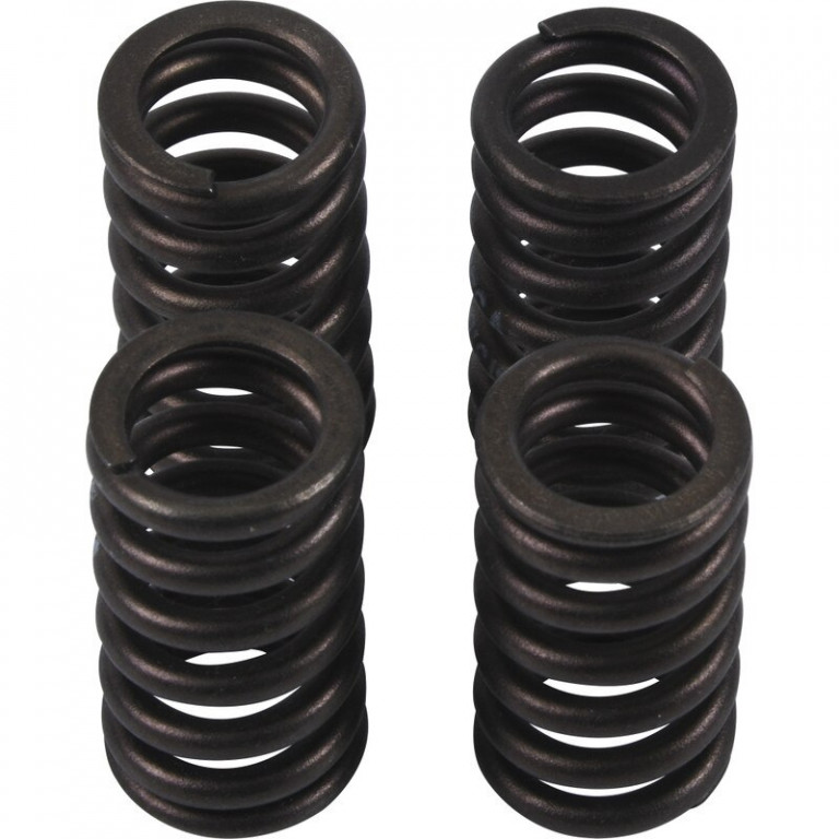 Valve spring kit HOT CAMS VSK2002 for SUZUKI RM-Z 250 2007-2014