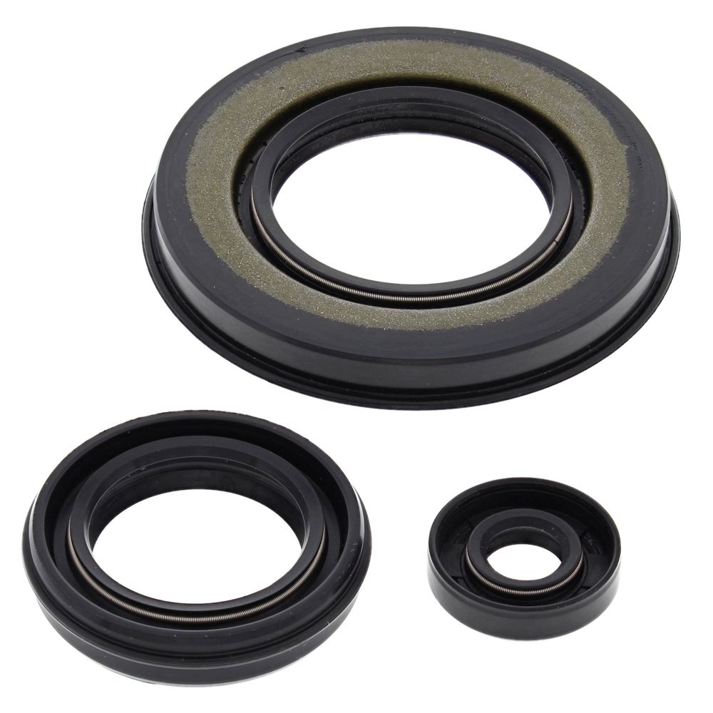 Engine Oil Seal Kit WINDEROSA 55198