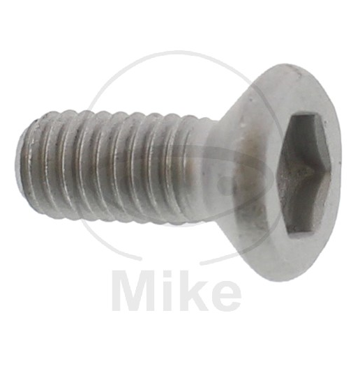 Brake disc bolt JMT M6x11